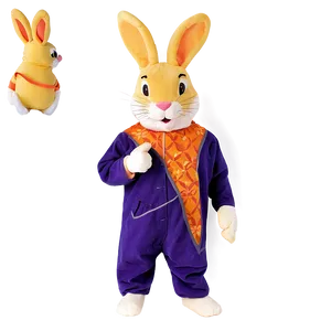 Rabbit Costume PNG Sho PNG