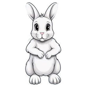 Rabbit Drawing PNG 11