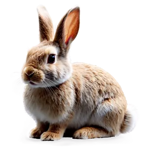 Rabbit Emoji PNG Laj PNG