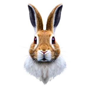 Rabbit Head PNG 47 PNG