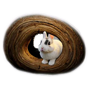 Rabbit Hole PNG Clq44