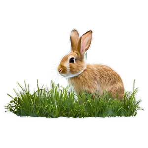 Rabbit In Grass PNG Qer