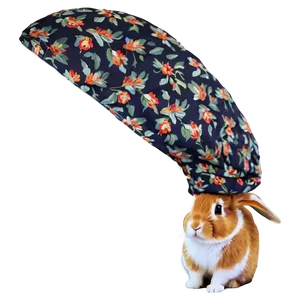 Rabbit In Hat PNG Shi71