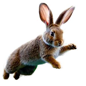 Rabbit Jumping PNG 05062024 PNG