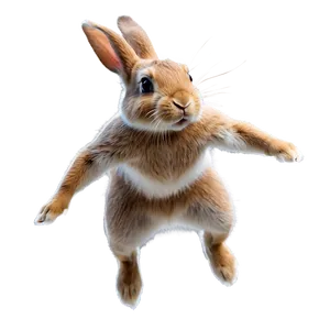 Rabbit Jumping Png 05062024 PNG image