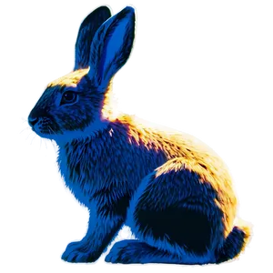 Rabbit Shadow PNG Erg PNG