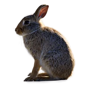 Rabbit Silhouette Png 05062024 PNG image