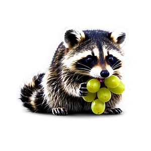 Raccoon Eating Grapes PNG Cav PNG