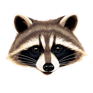 Raccoon Face Closeup PNG 86