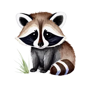 Raccoon In Watercolor Png 97 PNG image