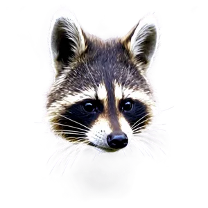 Raccoon Party Png Uxq PNG image