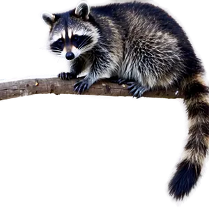 Raccoon Silhouette Png Xpt4 PNG image