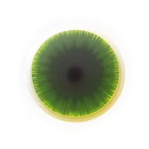 Radial Gradient Halo Png 06292024 PNG image