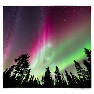 Radiant Aurora Above Treetops Png 90 PNG image