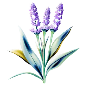 Radiant Lavender Bloom PNG Qug40
