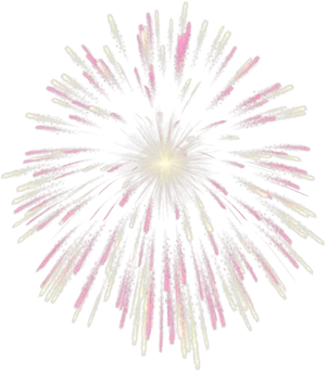 Radiant Pink Firework Explosion PNG image