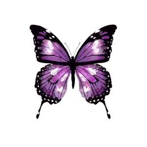 Radiant Purple Butterfly Png 58 PNG image