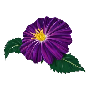 Radiant Purple Flower PNG 05242024