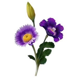 Radiant Purple Flower PNG 05242024
