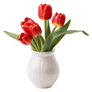 Radiant Red Tulips PNG Paj PNG