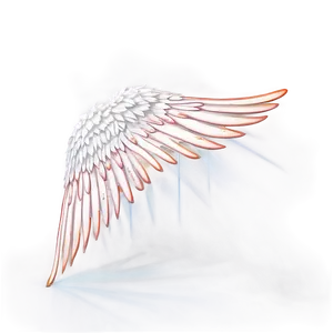 Radiant White Wings Png Ehx PNG image