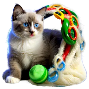 Ragdoll Kitten PNG Ato