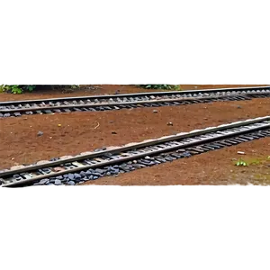 Railroad Tracks Through Forest PNG Coc97 PNG