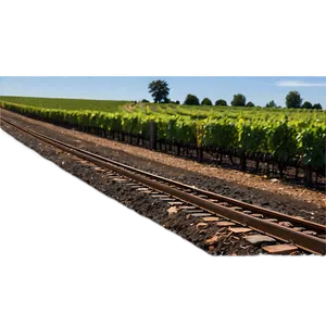 Railroad Tracks Through Vineyard PNG Pxu