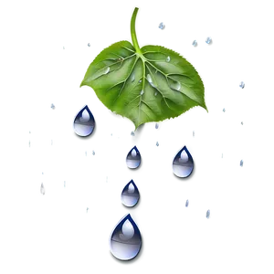 Rain Drop Wallpaper PNG Xvh