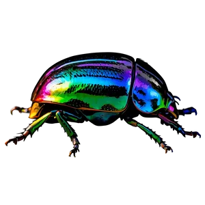 Rainbow Beetle Graphic PNG 05242024