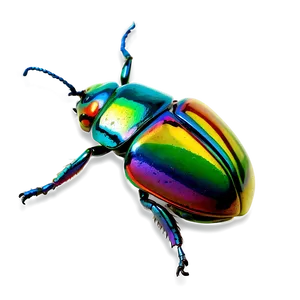Rainbow Beetle Graphic PNG Ddd