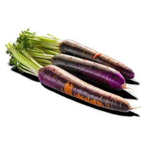 Rainbow Carrots Png 06132024 PNG image