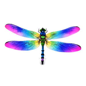 Rainbow Dragonfly Png 05212024 PNG image
