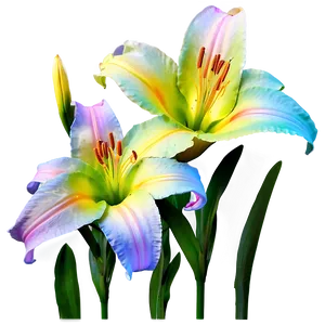 Rainbow Lilies Fantasy Png Kln26 PNG image