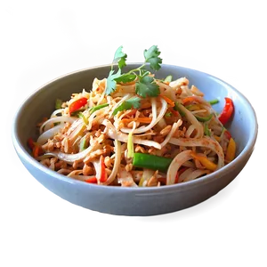 Rainbow Pad Thai With Peppers Png 48 PNG image