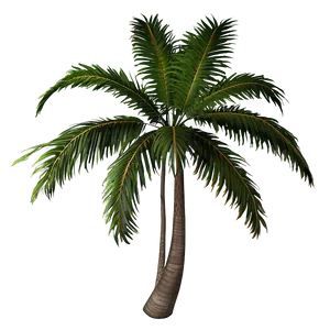 Rainbow Palm Tree Png 98 PNG image