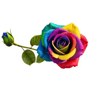 Rainbow Rose Flower PNG Fmp32 PNG