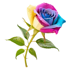 Rainbow Rose Png 04292024 PNG image