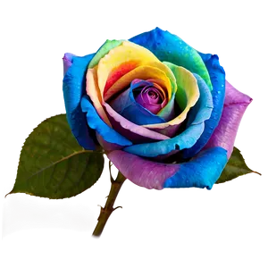 Rainbow Rose PNG 22