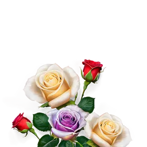 Rainbow Roses Celebration Png Skd PNG image