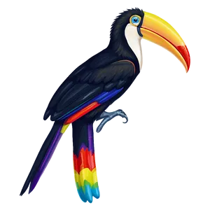 Rainbow Toucan Art PNG 85 PNG