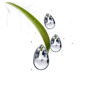 Raindrop On Petal PNG Inx34 PNG