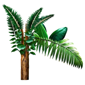 Rainforest Flora PNG 69 PNG