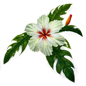 Rainforest Flowers PNG Rsr