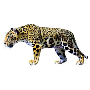 Rainforest Jaguar PNG 05212024