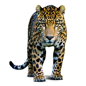 Rainforest Jaguar PNG Qff26