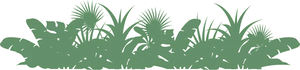 Rainforest Silhouette Vector PNG image