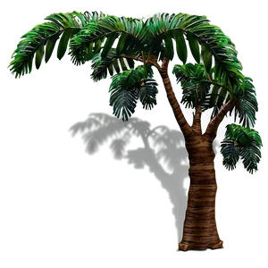 Rainforest Tree Shadow Png 51 PNG image