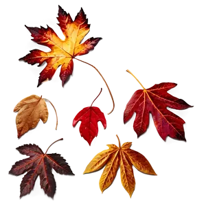 Rainy Autumn Leaves Png Hel82 PNG image