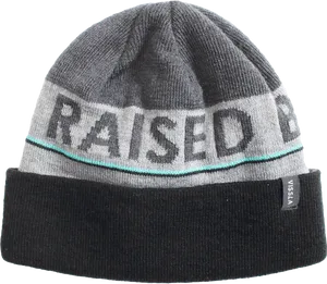 Raised Beanie Knit Hat PNG image